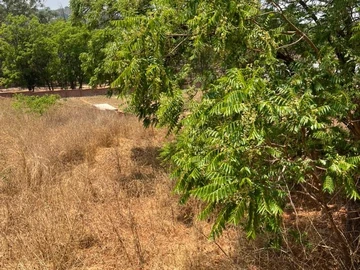 Farm & Agricultural Land