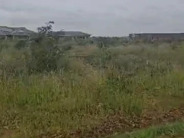 Commercial & Industrial Land