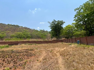 Farm & Agricultural Land