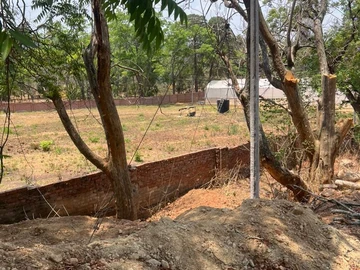 Farm & Agricultural Land