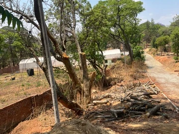 Farm & Agricultural Land