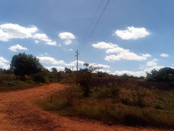 Land