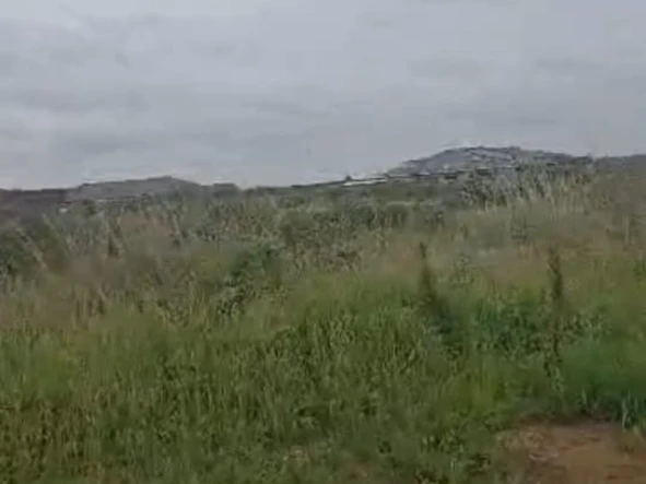 Land